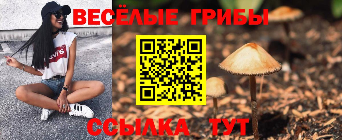 Псилоцибиновые грибы GOLDEN TEACHER  Вход с VPN  Псилоцибиновые грибы Psilocybe  Нарьян-Мар 